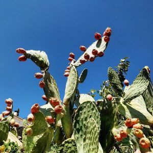 Sacromonte; magia, flamenco y cuevas. 5