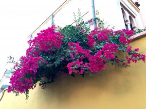 Palacete de La Najarra. 3 cosas que descubrir de la Oficina de Turismo de Almuñecar. 2