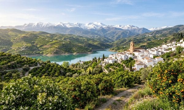 Valle de Lecrin con naranjos en flor pantano de Beznar pueblos blancos y Sierra Nevada nevada al fondo